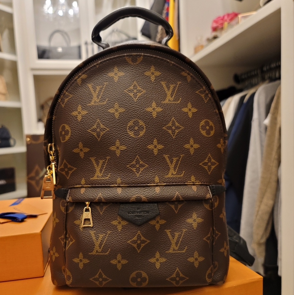 Louis vuitton palm spring pm